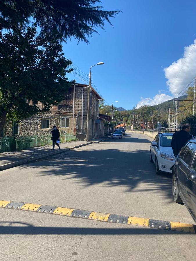Lizielene Apartment Borjomi ภายนอก รูปภาพ